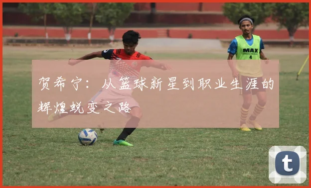 贺希宁：从篮球新星到职业生涯的辉煌蜕变之路