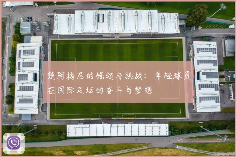 楚阿梅尼的崛起与挑战：年轻球员在国际足坛的奋斗与梦想