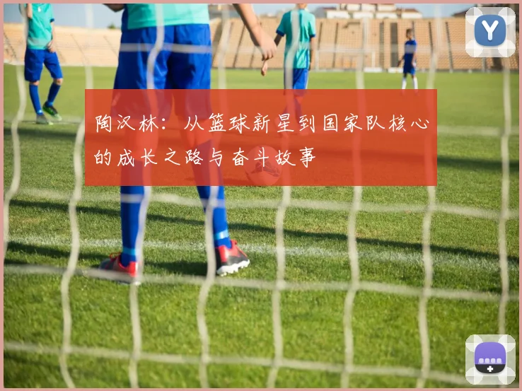 陶汉林：从篮球新星到国家队核心的成长之路与奋斗故事